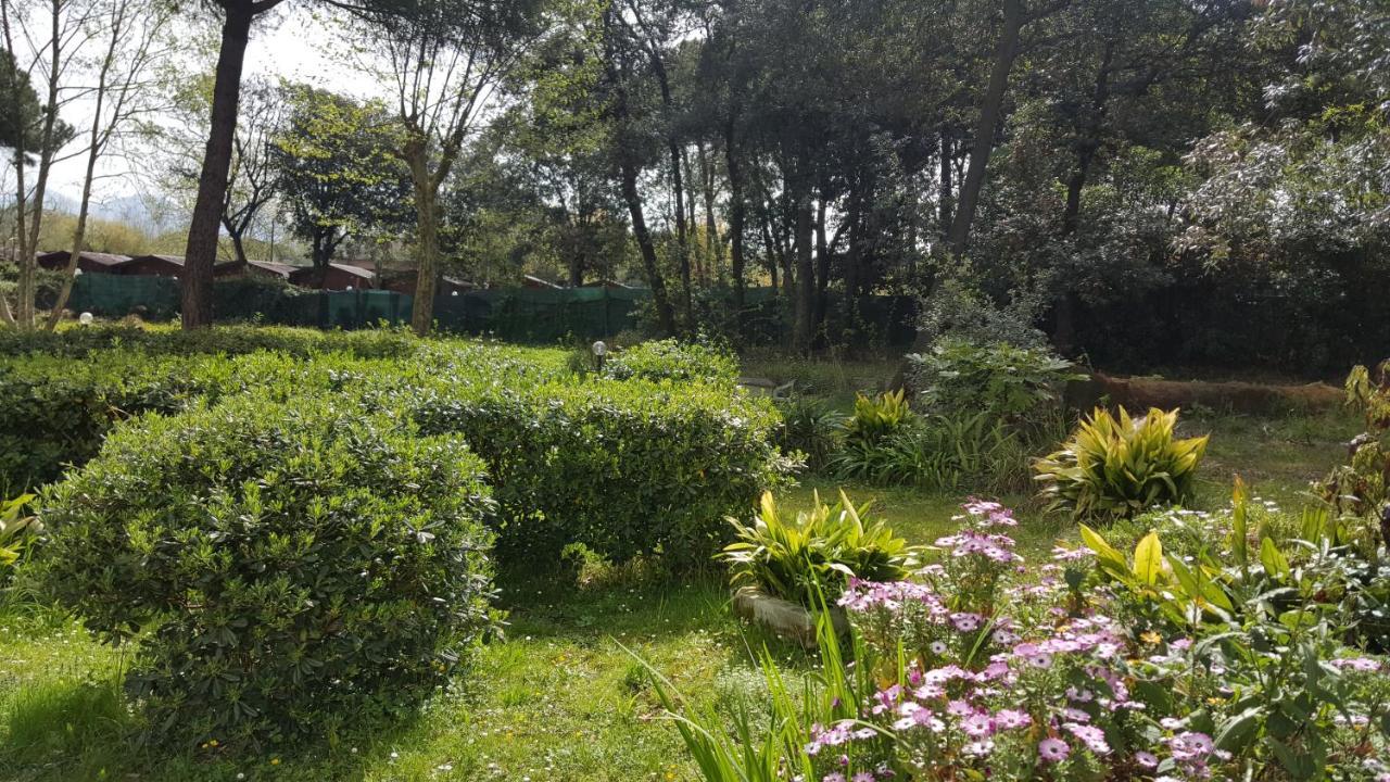 Casa Per Ferie "Sacro Cuore" Marina di Massa Zewnętrze zdjęcie